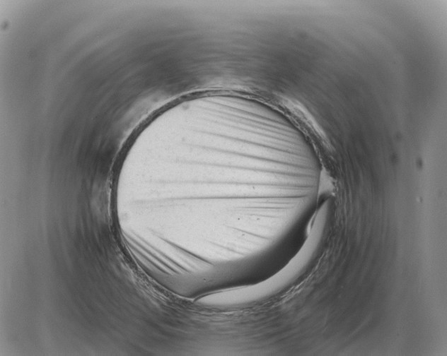 X0000086061268200704202052