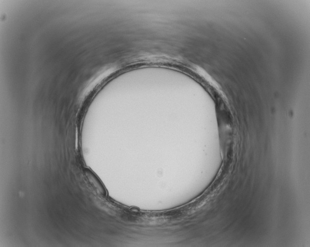 X0000086061269200704202052