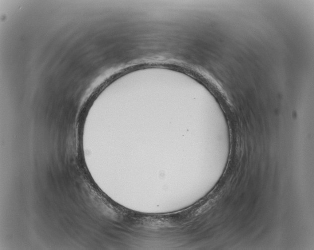 X0000086061270200704202052