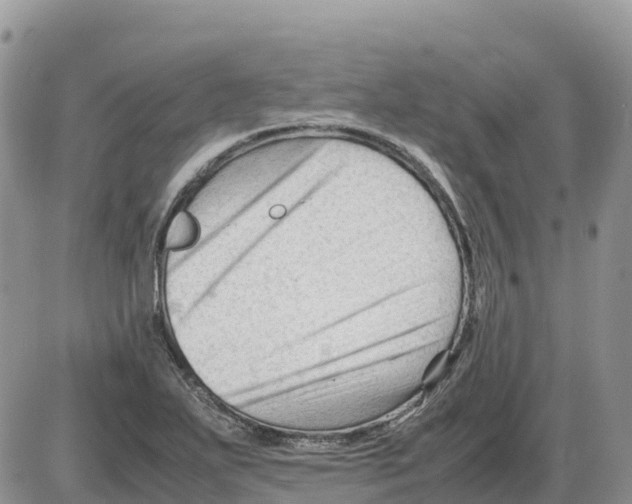 X0000086061271200704202052