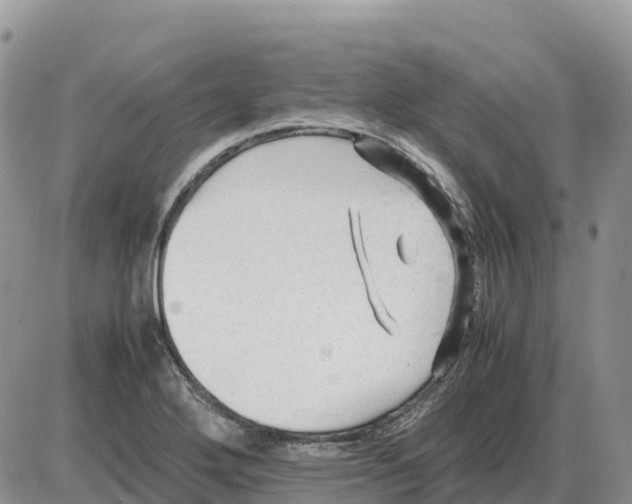 X0000086061272200704202052