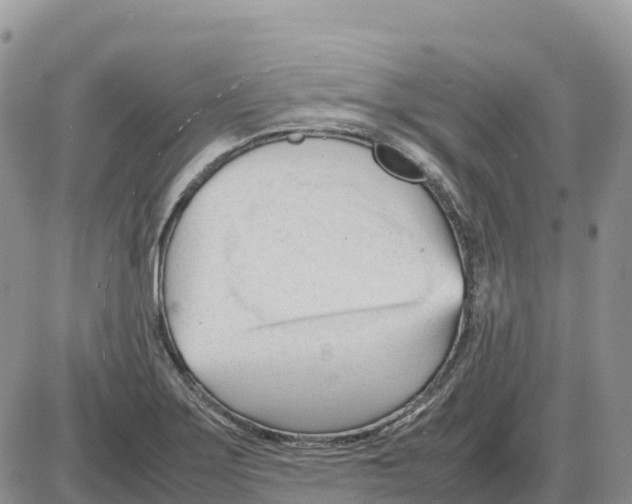 X0000086061275200704202052