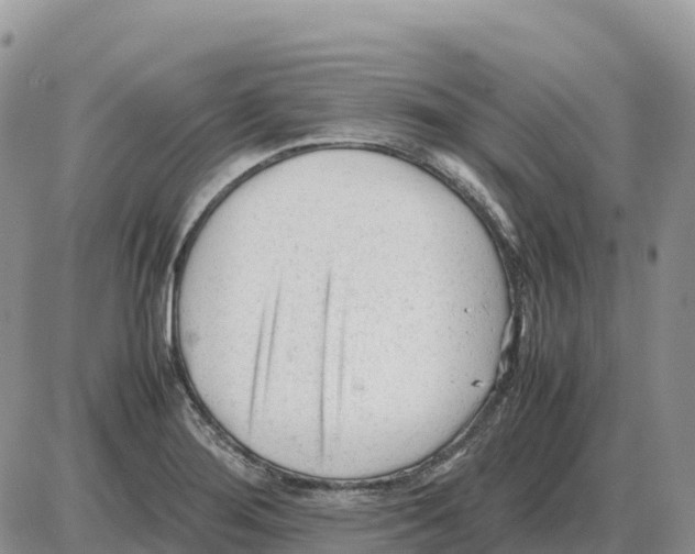 X0000086061276200704202052