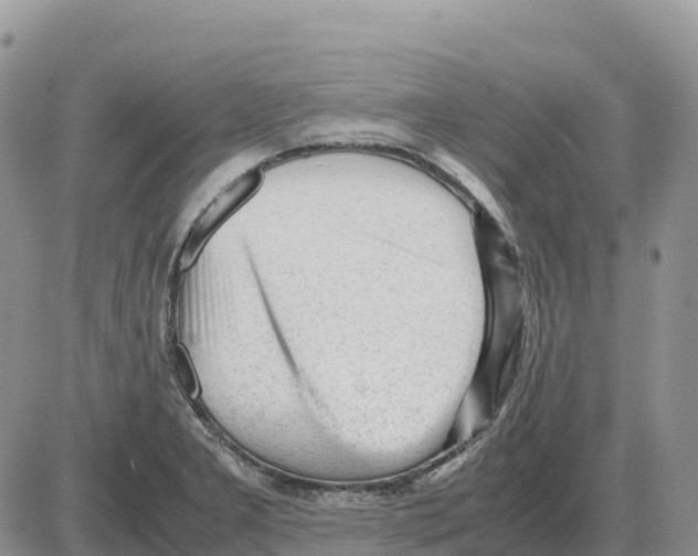 X0000086061277200704202052