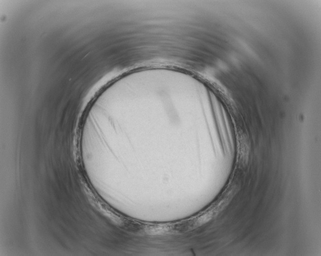 X0000086061278200704202052