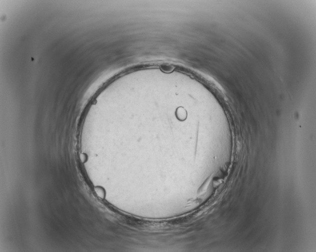 X0000086061279200704202052