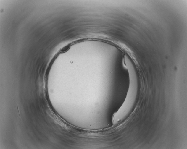 X0000086061280200704202052