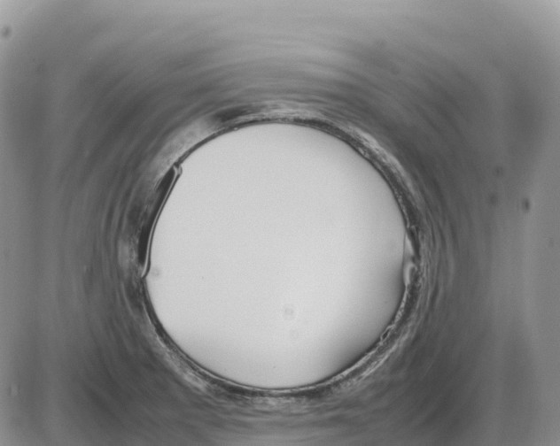 X0000086061281200704202052