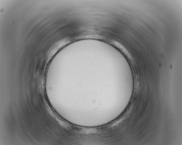 X0000086061282200704202052