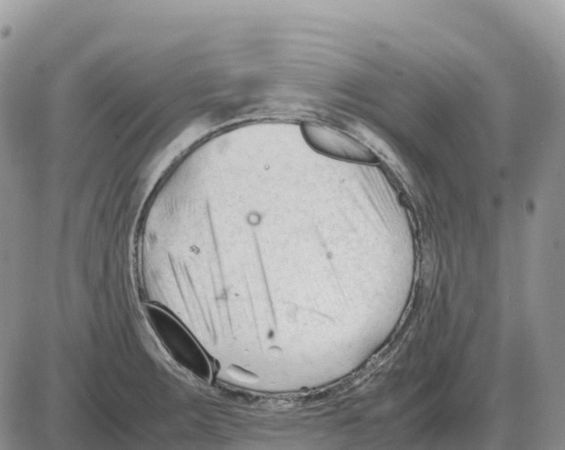 X0000086061283200704202052