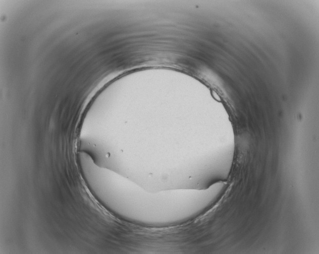 X0000086061284200704202052