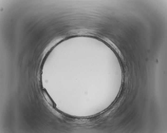 X0000086061285200704202051