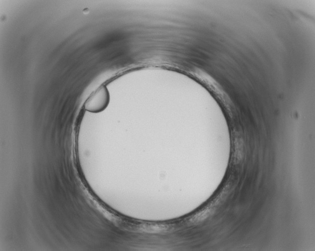 X0000086061286200704202051