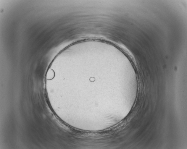 X0000086061287200704202051