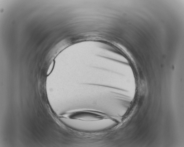 X0000086061289200704202051