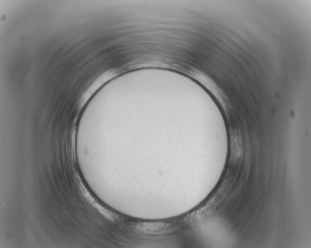 X0000086061290200704202051