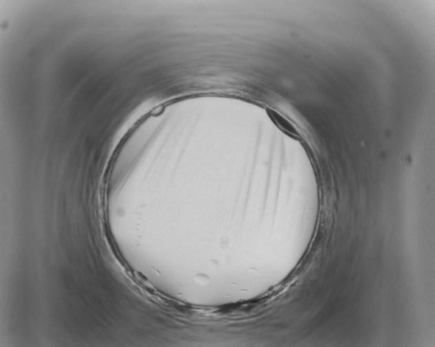 X0000086061291200704202051