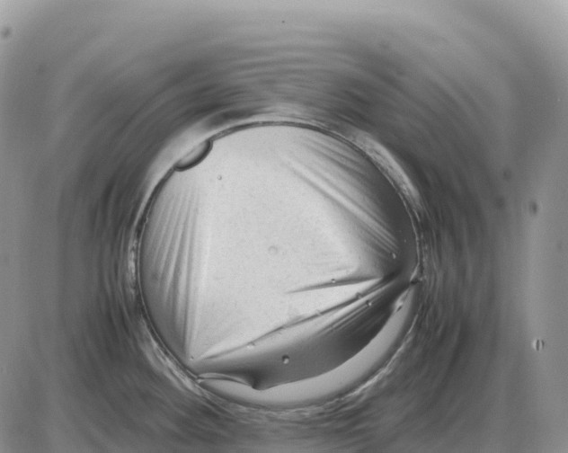 X0000086061292200704202051