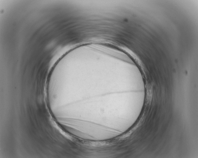 X0000086061294200704202051