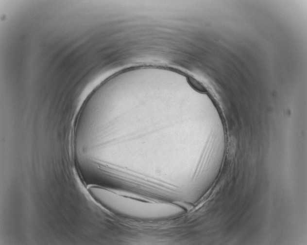 X0000086061295200704202051