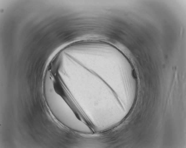 X0000086061296200704202051