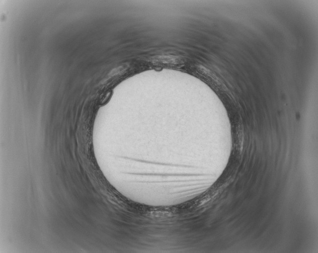 X0000086061297200704202051