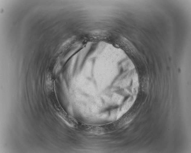 X0000086061298200704202051