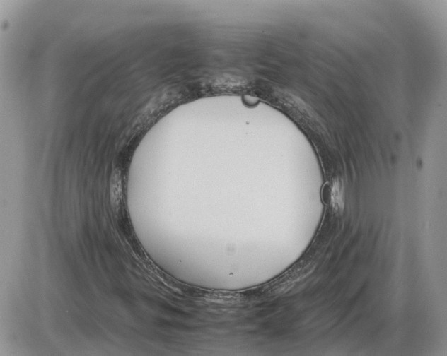 X0000086061299200704202051