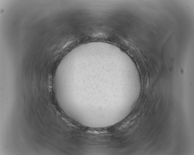 X0000086061301200704202051