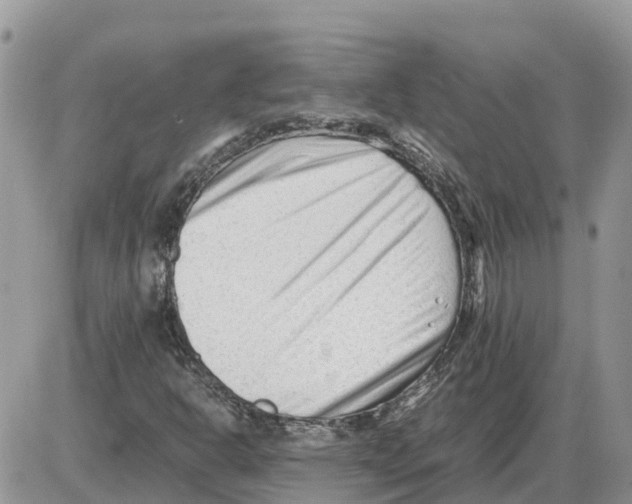 X0000086061302200704202051