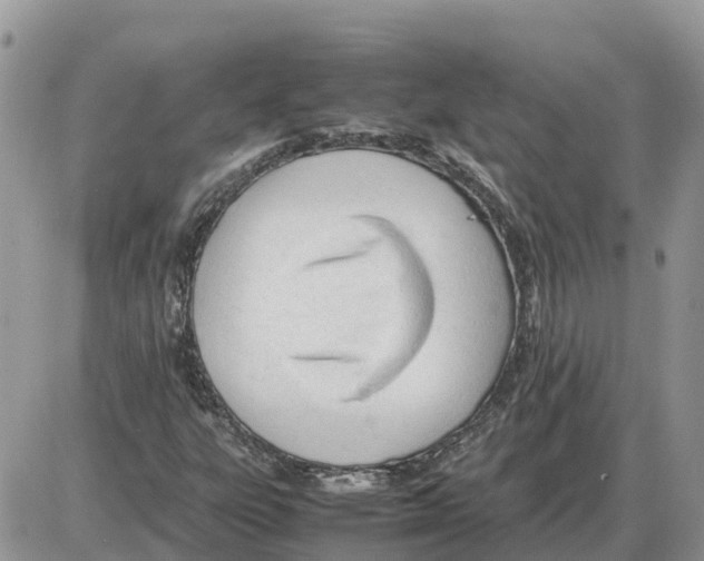 X0000086061303200704202051