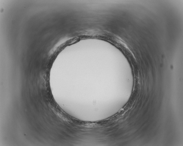 X0000086061304200704202051