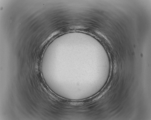 X0000086061305200704202051