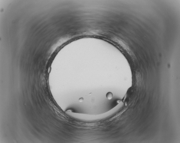 X0000086061308200704202051