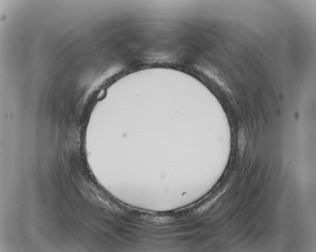 X0000086061309200704202051