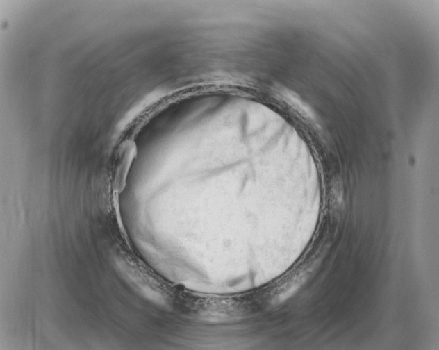 X0000086061310200704202051