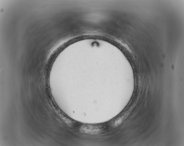 X0000086061311200704202051