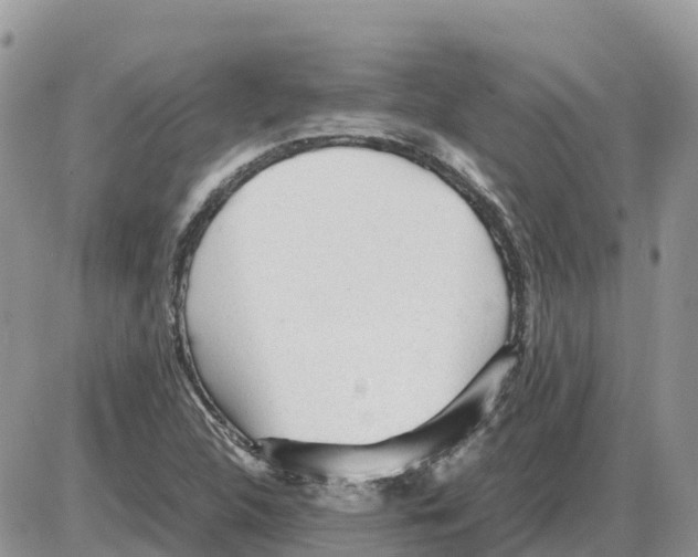 X0000086061312200704202051