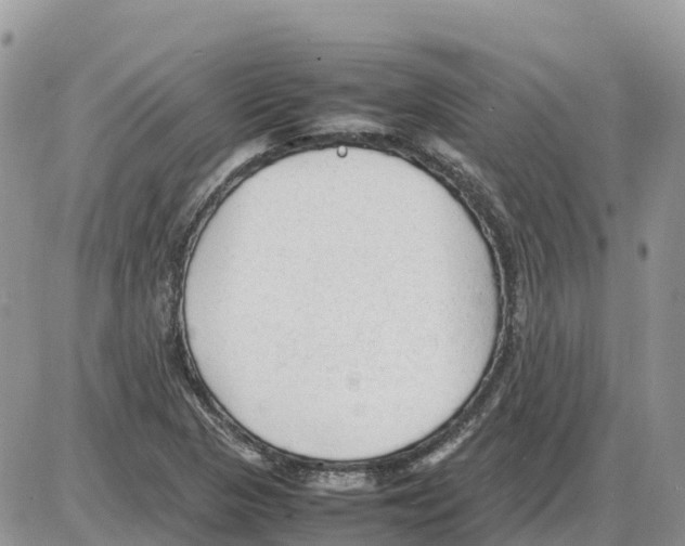 X0000086061313200704202051