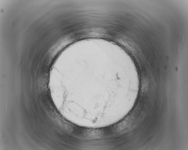 X0000086061314200704202051