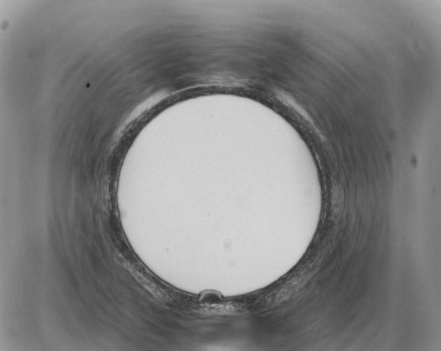 X0000086061315200704202051