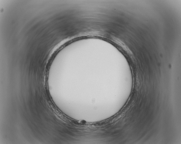 X0000086061316200704202051