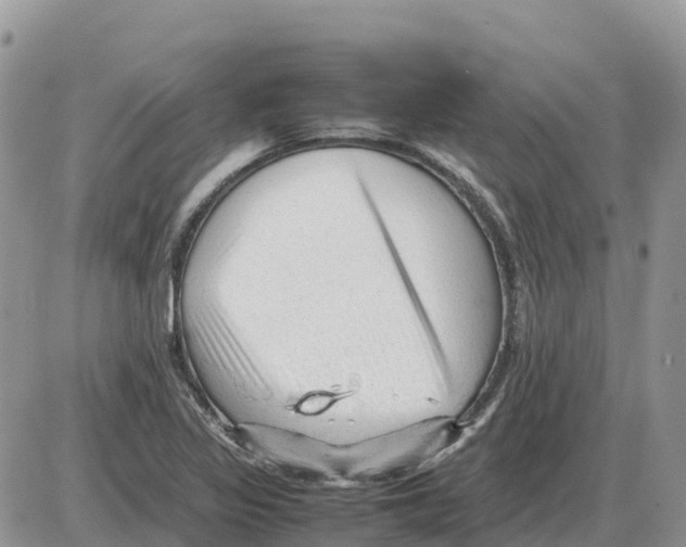 X0000086061317200704202051