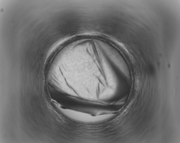 X0000086061319200704202051