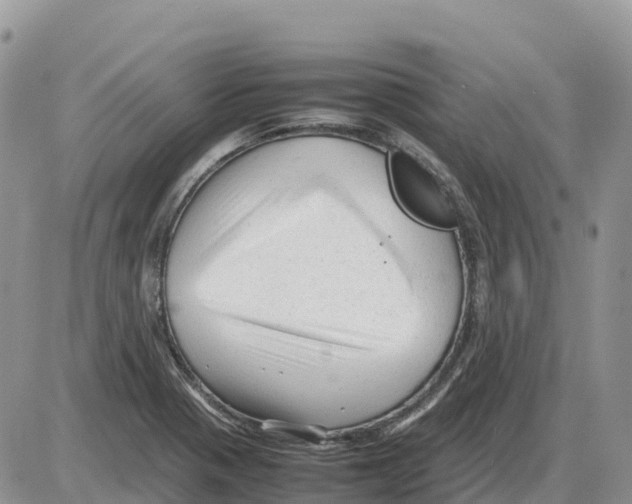 X0000086061321200704202051