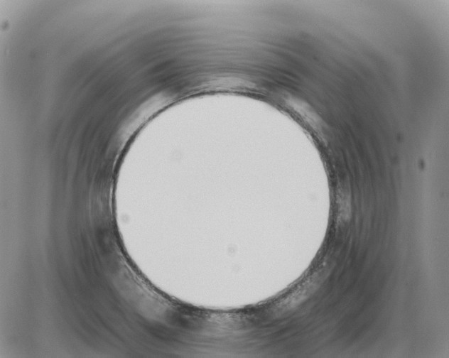 X0000086061322200704202051