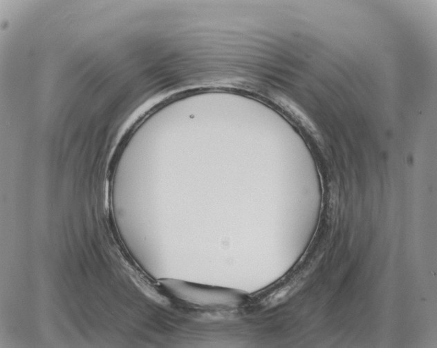 X0000086061324200704202051