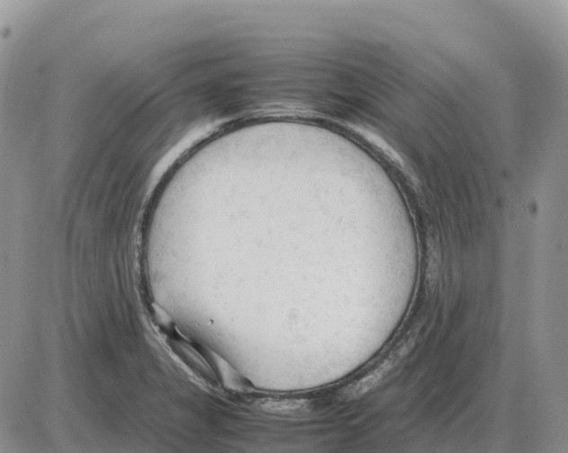 X0000086061325200704202051