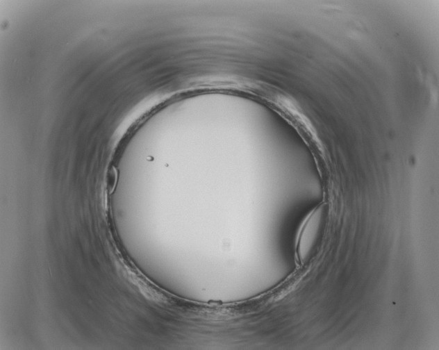 X0000086061328200704202051