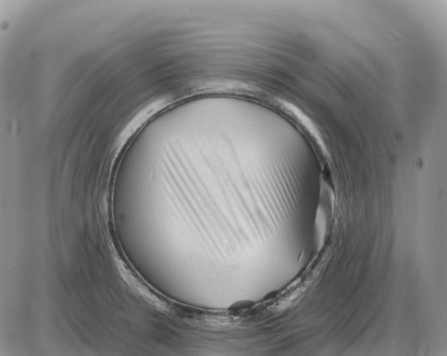 X0000086061330200704202051